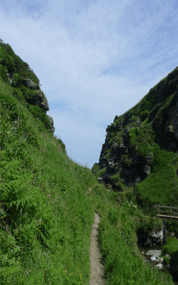 Blick Berge Pfad